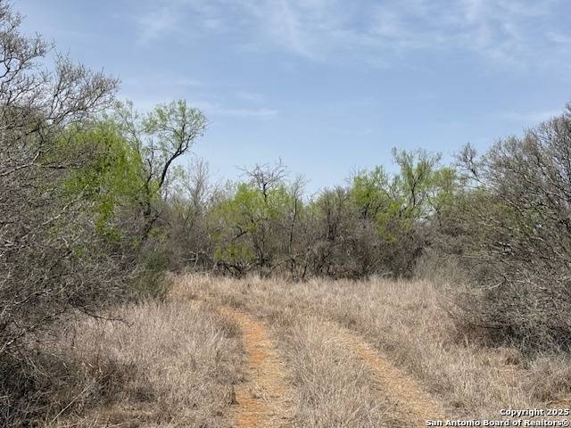 Cotulla, TX 78014,000 Los Alamos