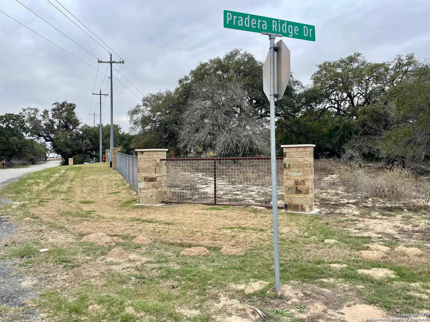Floresville, TX 78114,136 Pradera Ridge