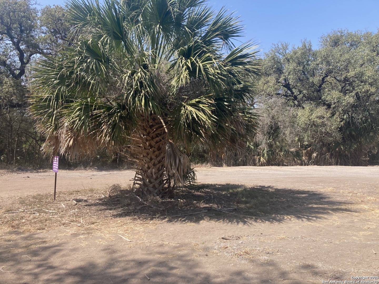Natalia, TX 78059,000 FM 471 Fm 471 S