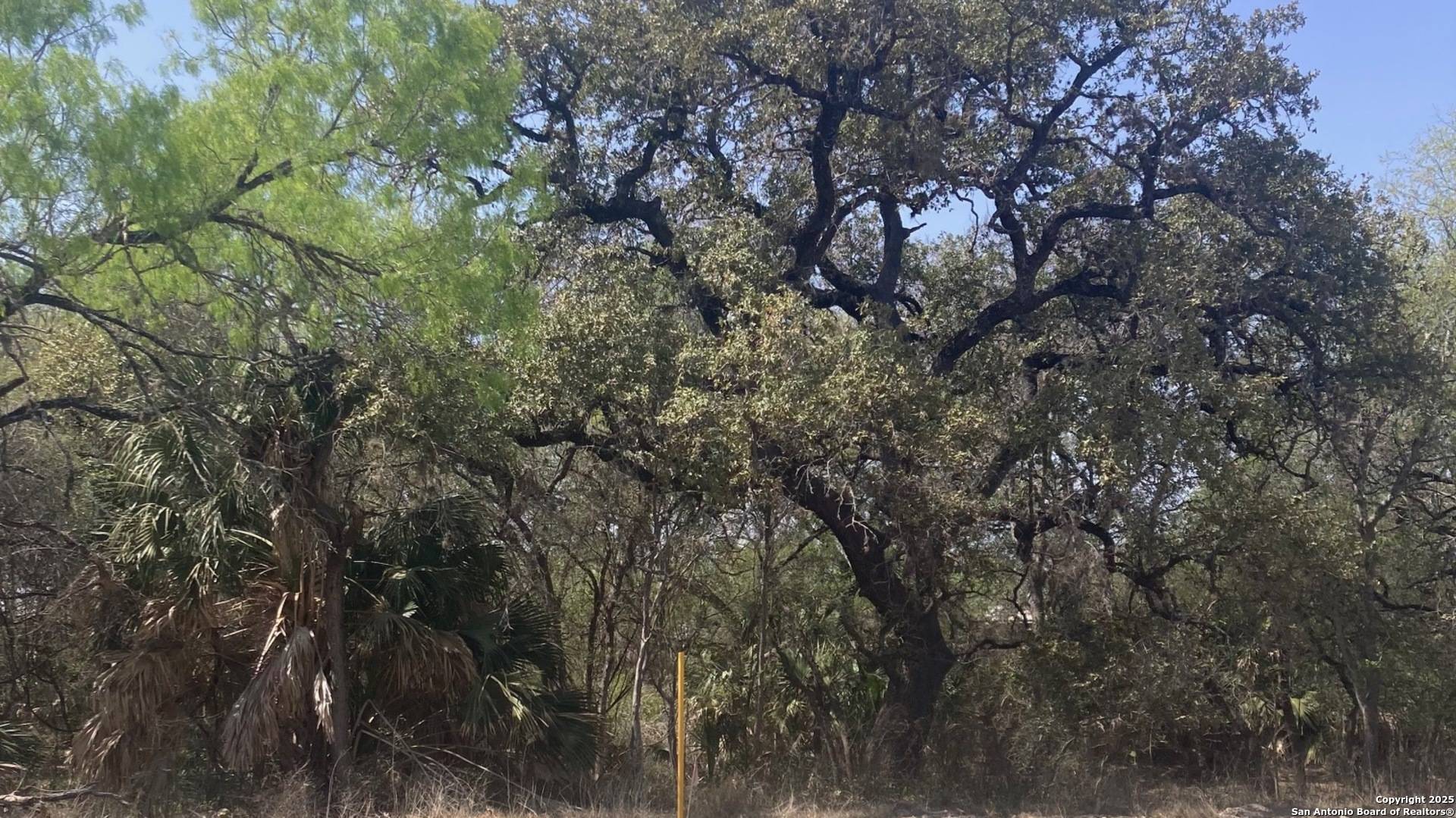 Natalia, TX 78059,000 FM 471 Fm 471 S