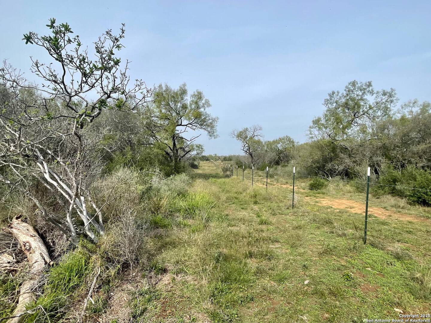 Moore, TX 78057,191 county road 1670