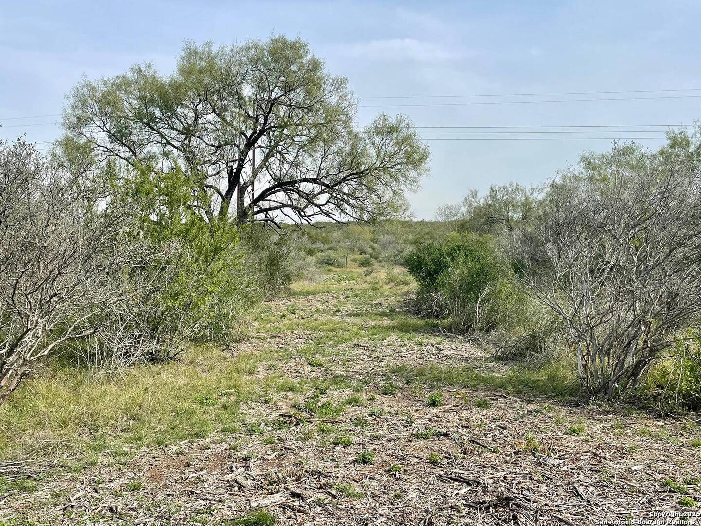 Moore, TX 78057,191 county road 1670