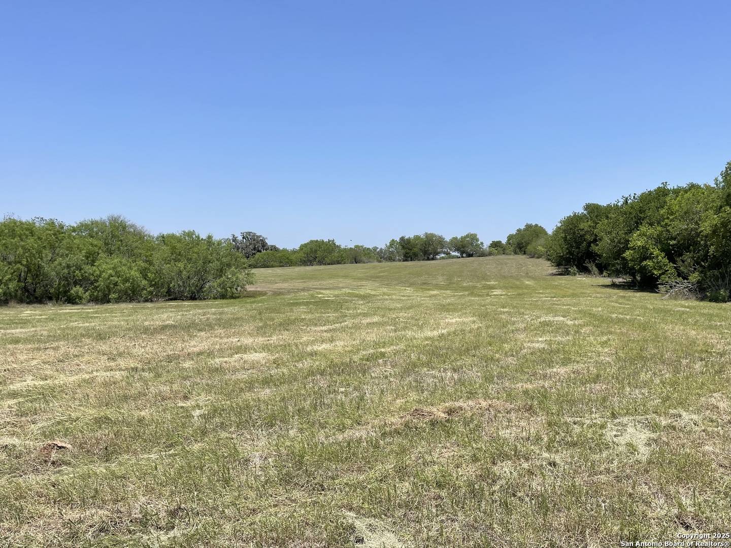 Beeville, TX 78142,TRACT 3 West King Lane