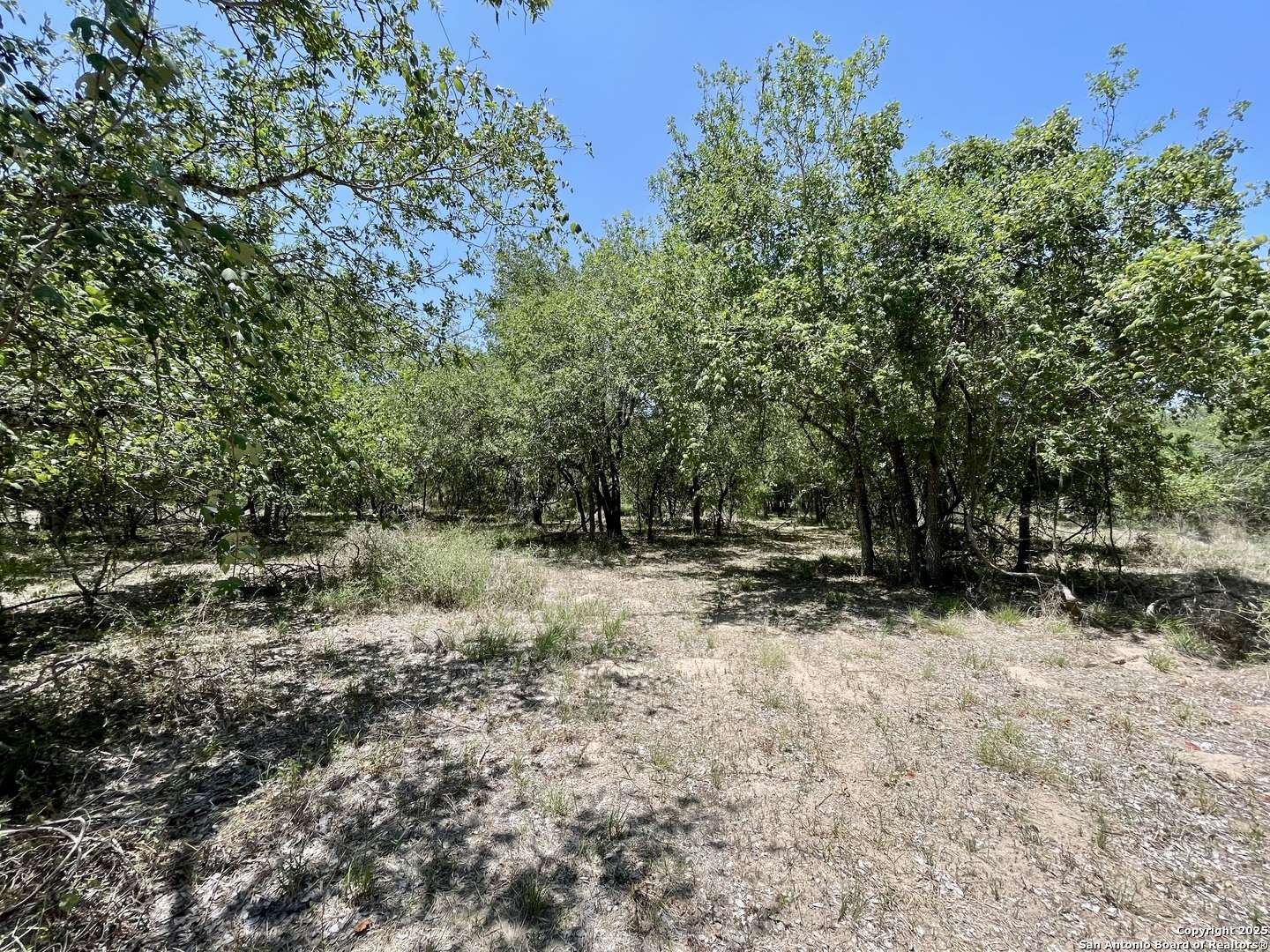 Beeville, TX 78142,TRACT 4 West King Lane