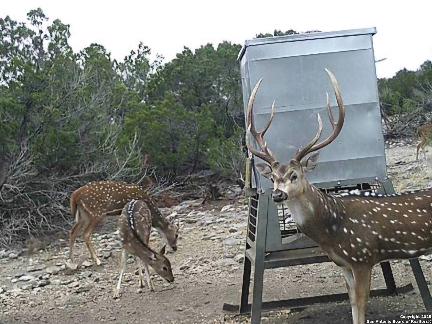 Rocksprings, TX 78880,TBD West Nueces Ranch, Lot 21