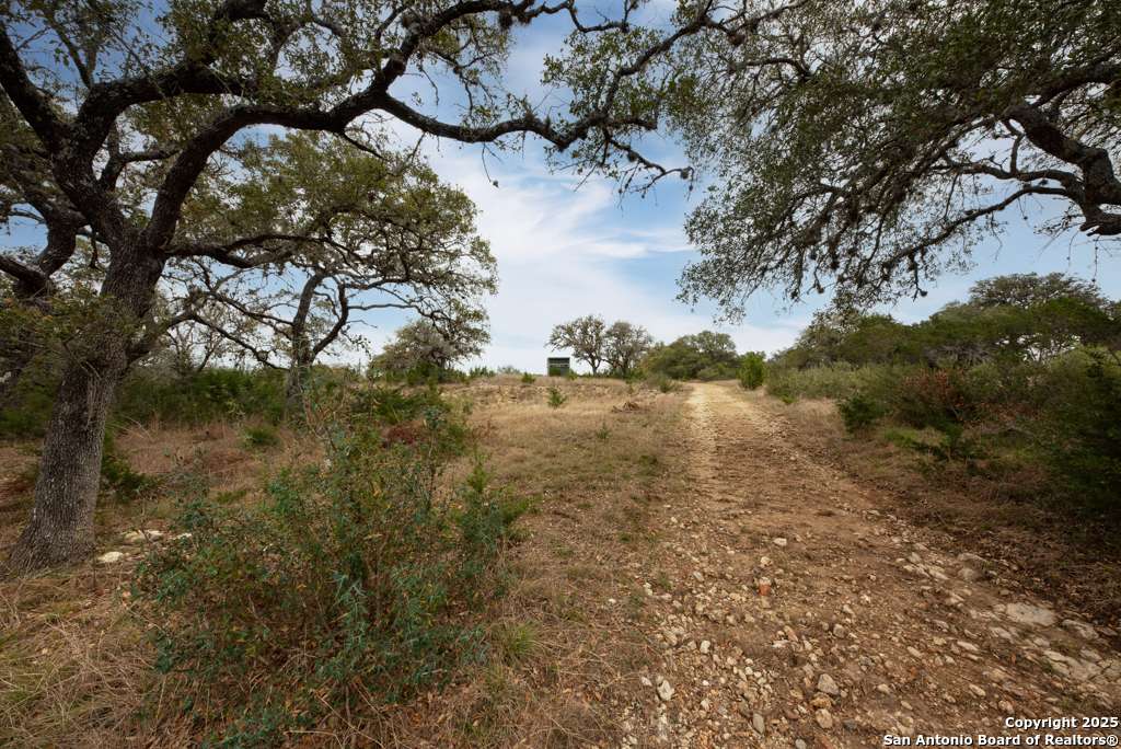 Bandera, TX 78003,246 Ada