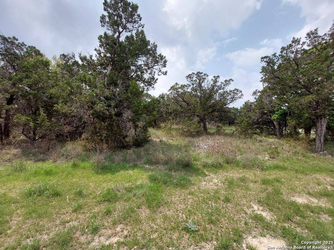 Canyon Lake, TX 78133,2170 Fuller Dr