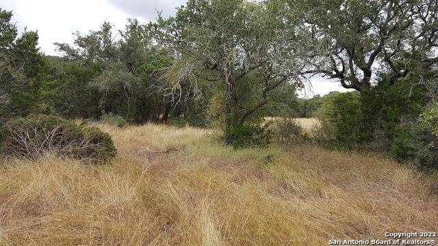 Mico, TX 78056,76371 PR 2776 MICO, TX 78056