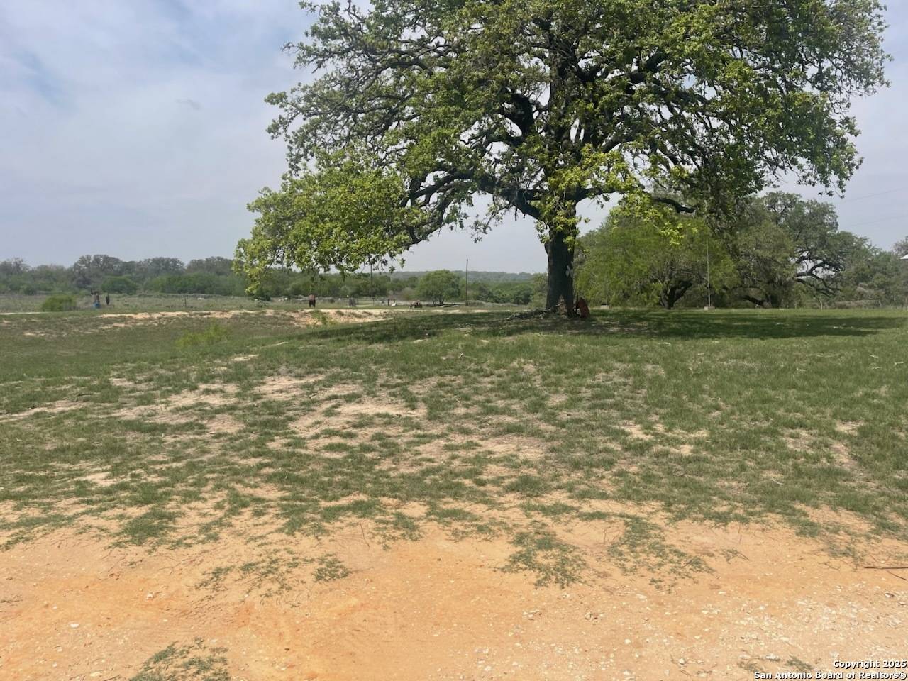 Somerset, TX 78069,2096 Stevens