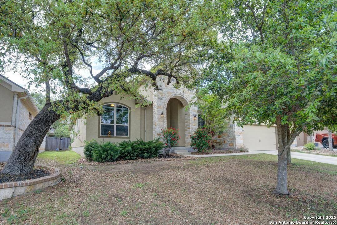 San Antonio, TX 78253,11342 Ivy Cadence