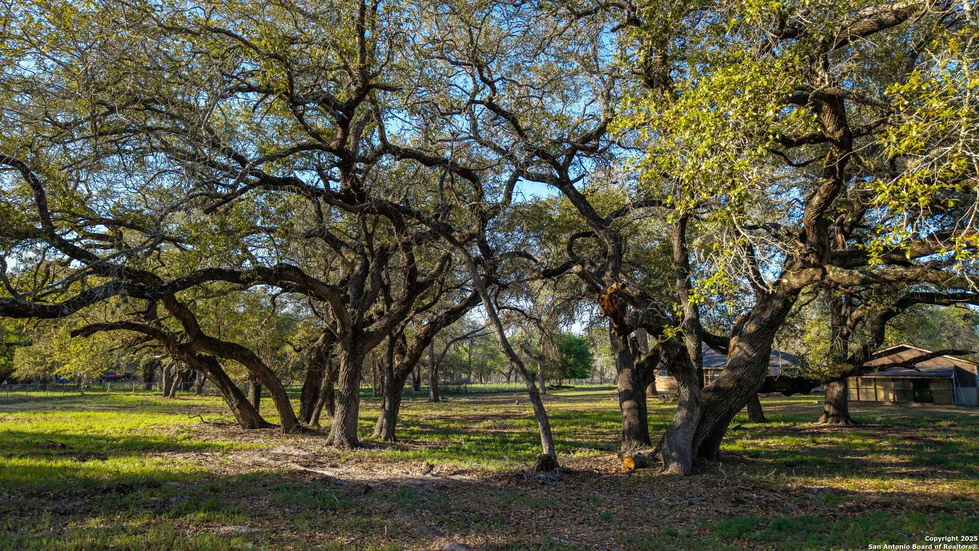 Floresville, TX 78114,123 Lost Springs
