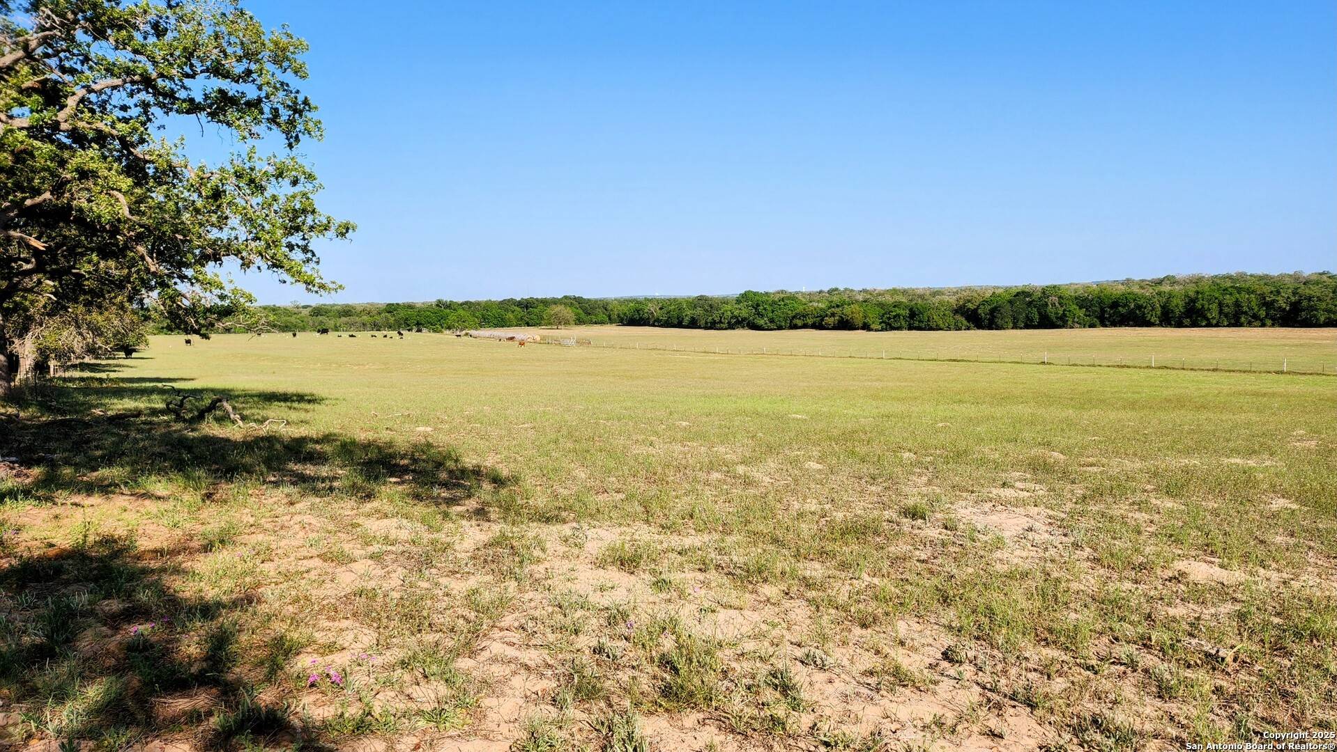 Seguin, TX 78155,575 Rohlf Rd.