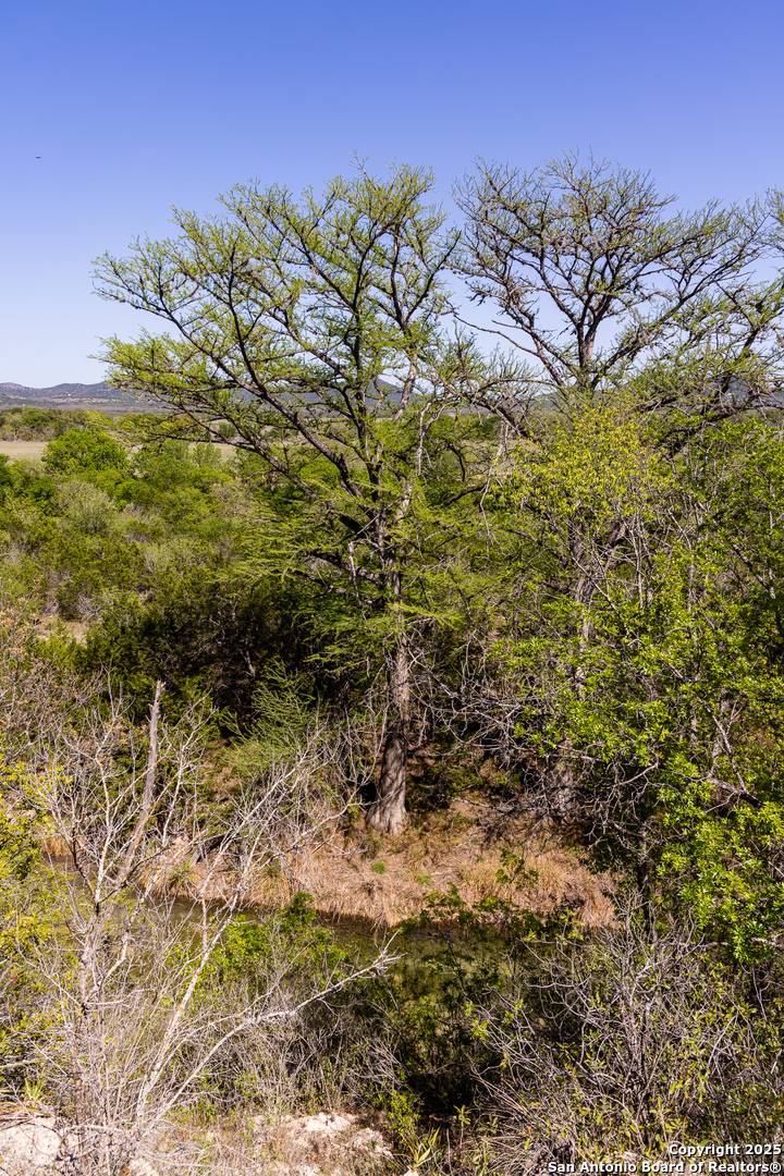 Utopia, TX 78884,816 Cornelius Road