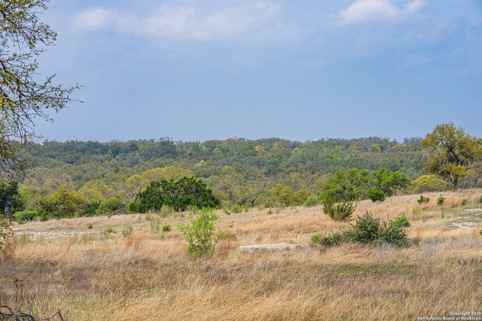 Fredericksburg, TX 78624,104 Fig Leaf Ct.