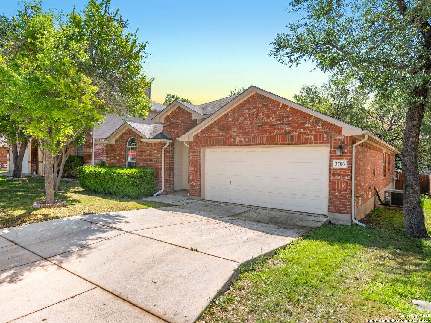 San Antonio, TX 78261,3706 Cotoneaster