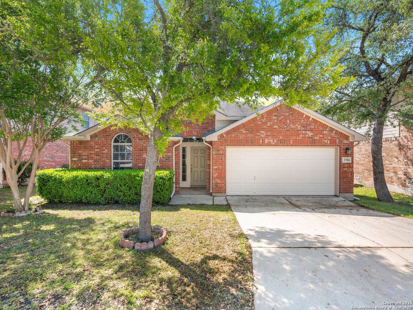 San Antonio, TX 78261,3706 Cotoneaster