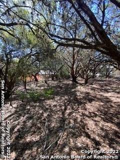 Lakehills, TX 78063,0 BLUE GILL