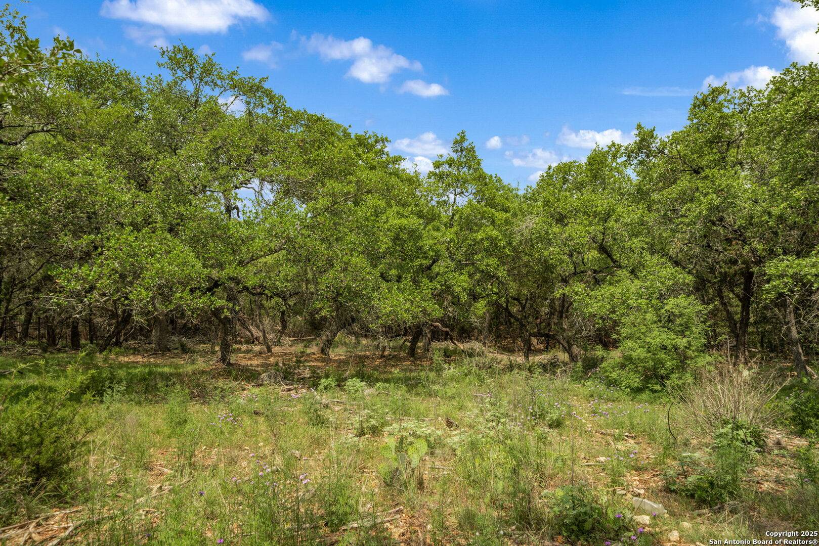 San Antonio, TX 78260,25139 Callaway