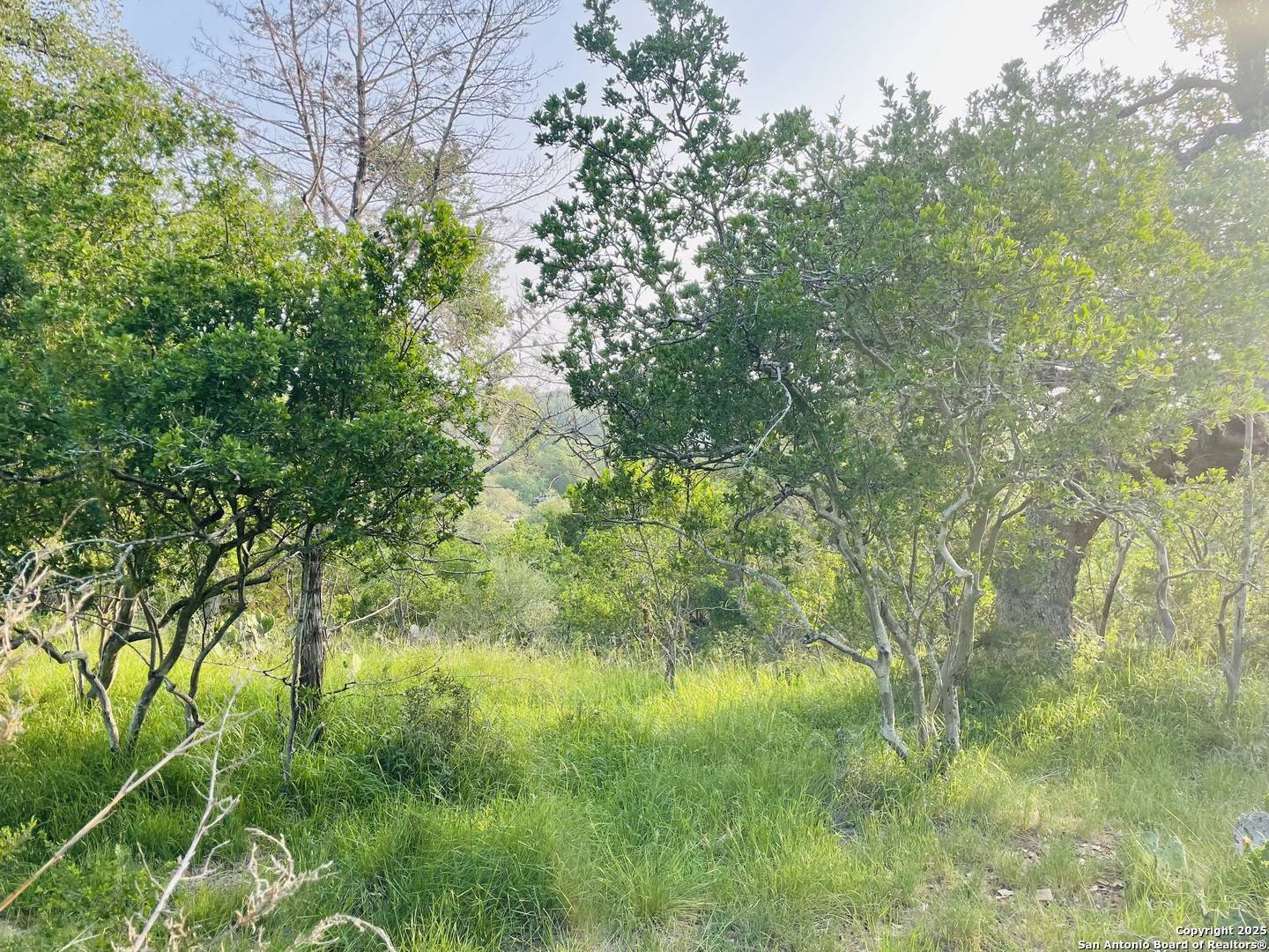 New Braunfels, TX 78132,395 Shady Hollow