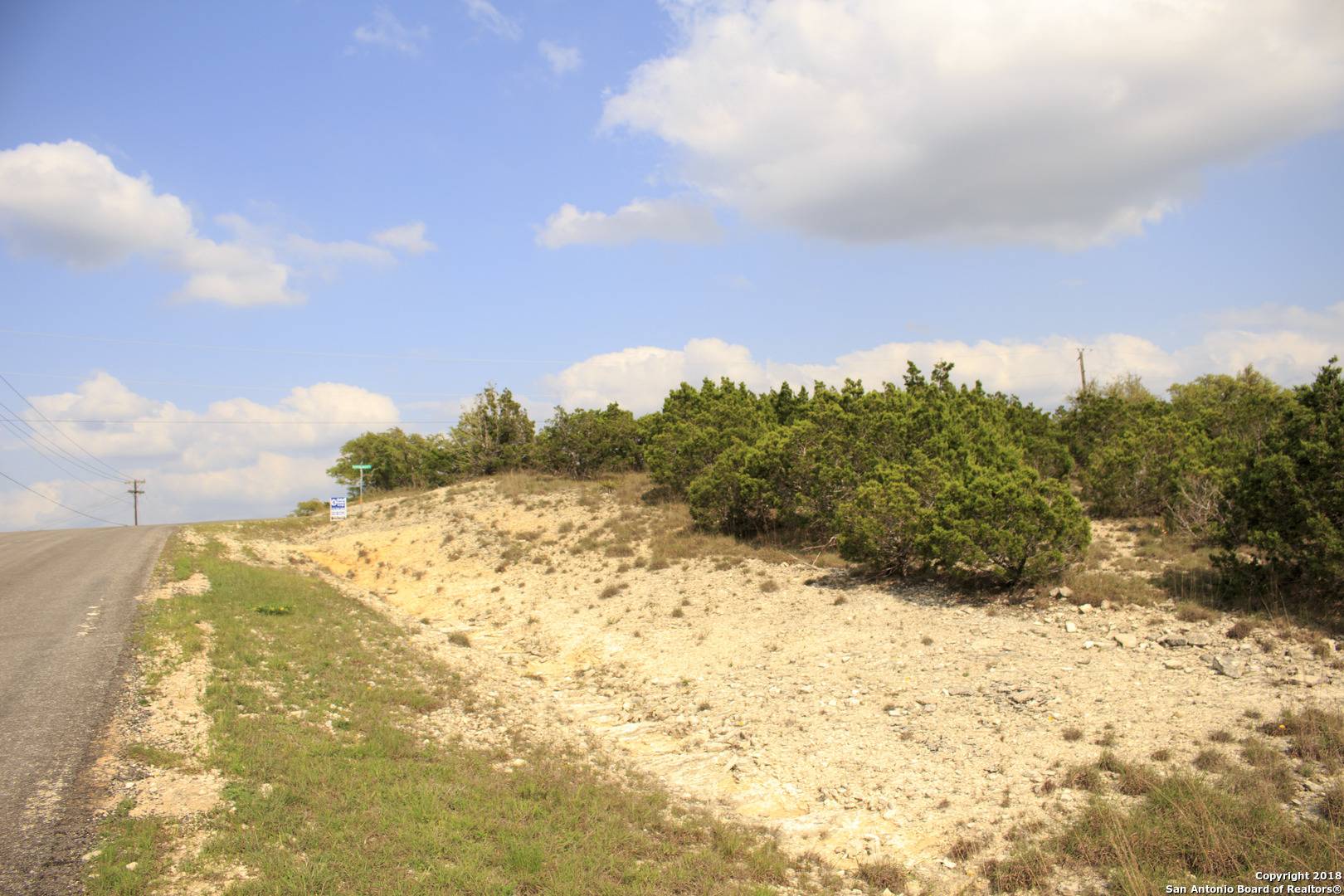 Spring Branch, TX 78070,110 Peppergrass
