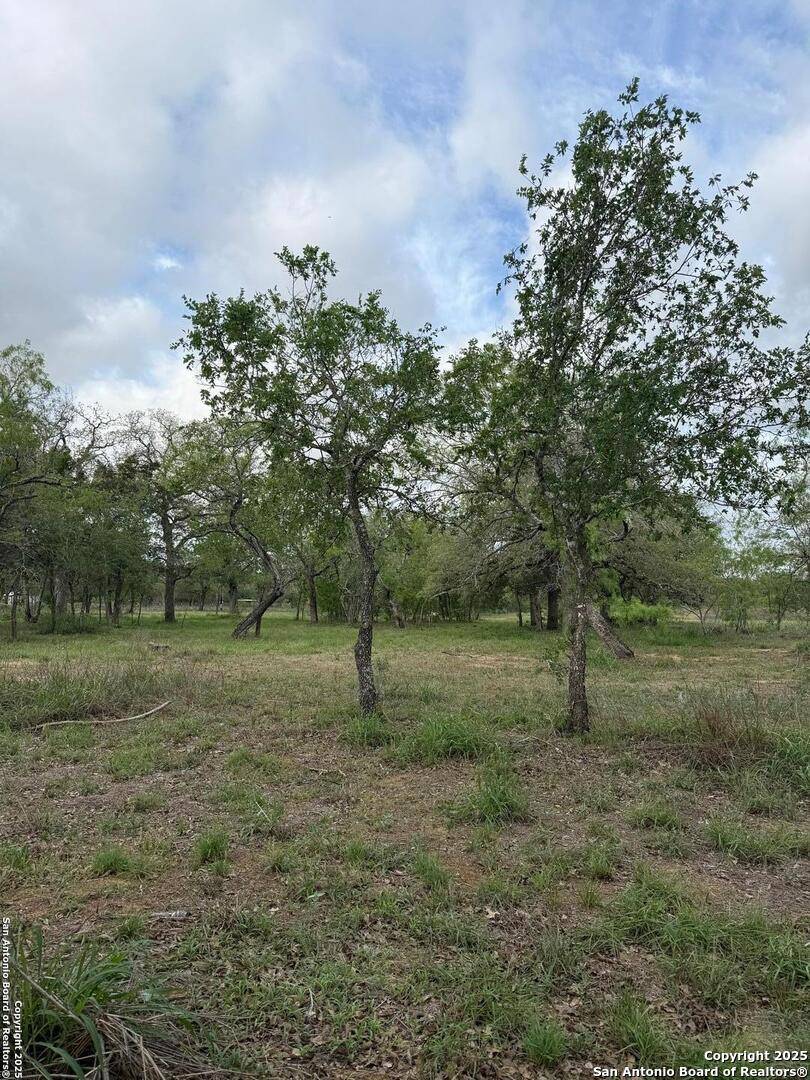 Stockdale, TX 78160,3661 State Highway 123 N