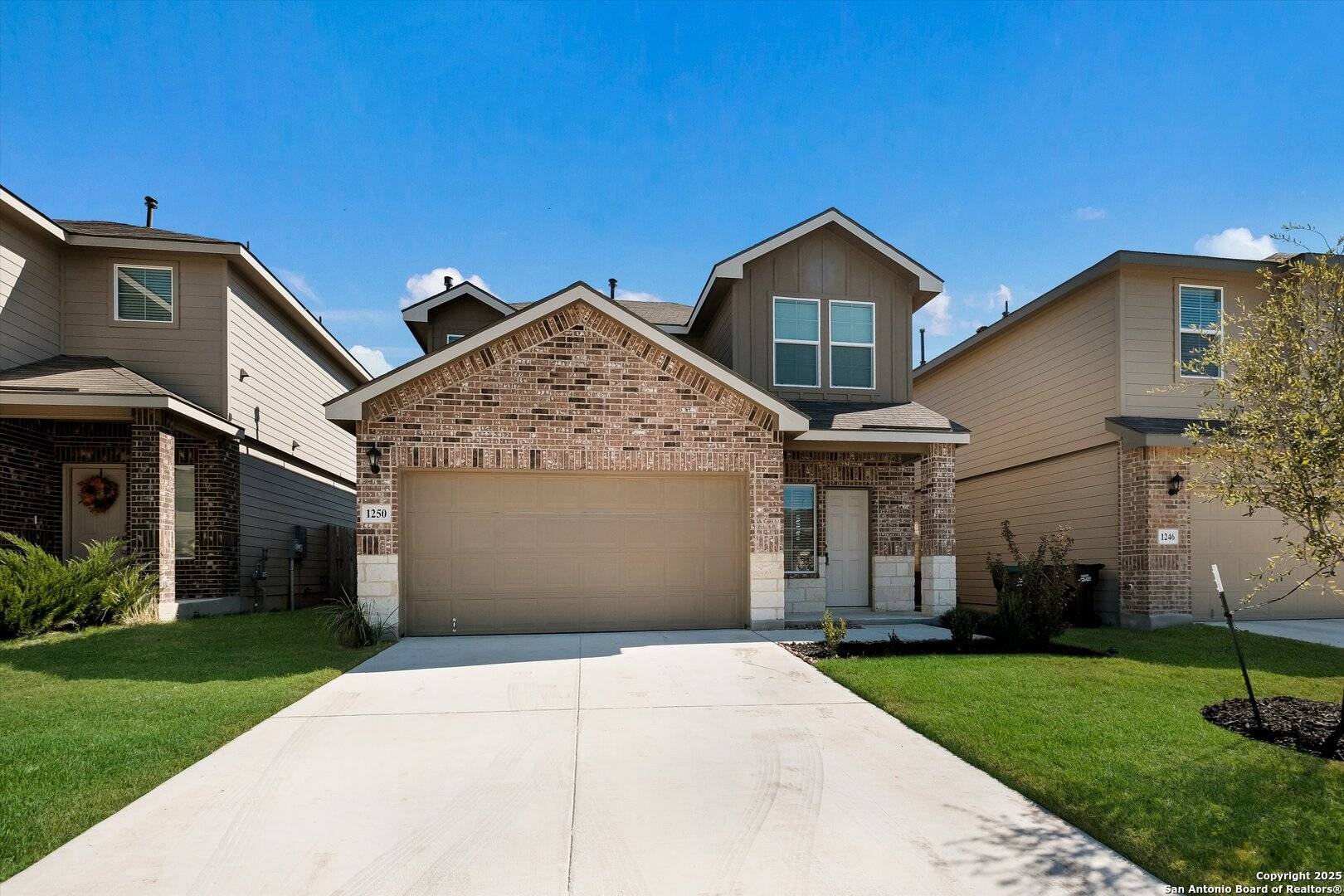 San Antonio, TX 78253,1250 Yellow Warbler