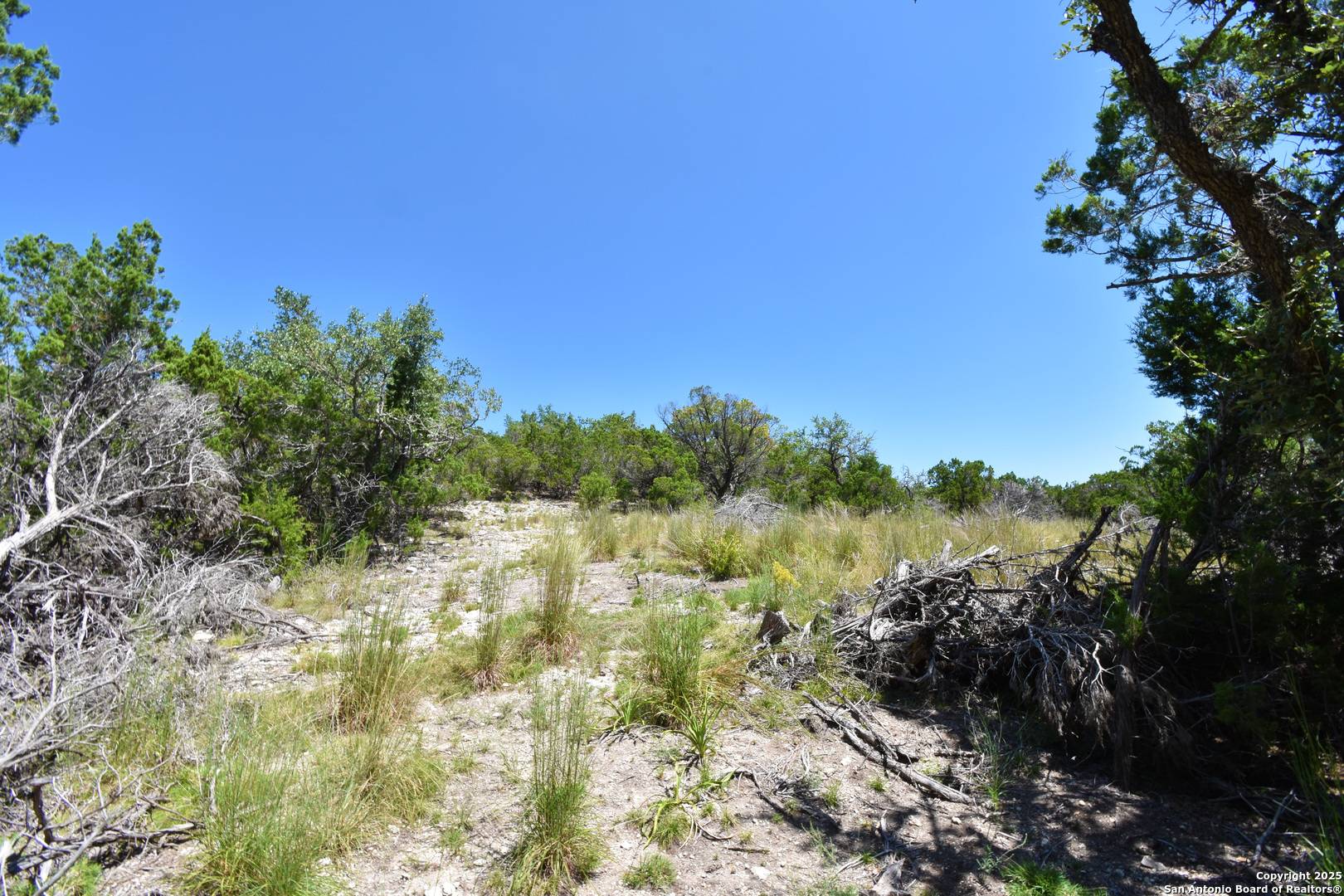 Pipe Creek, TX 78063,296 Timber Creek