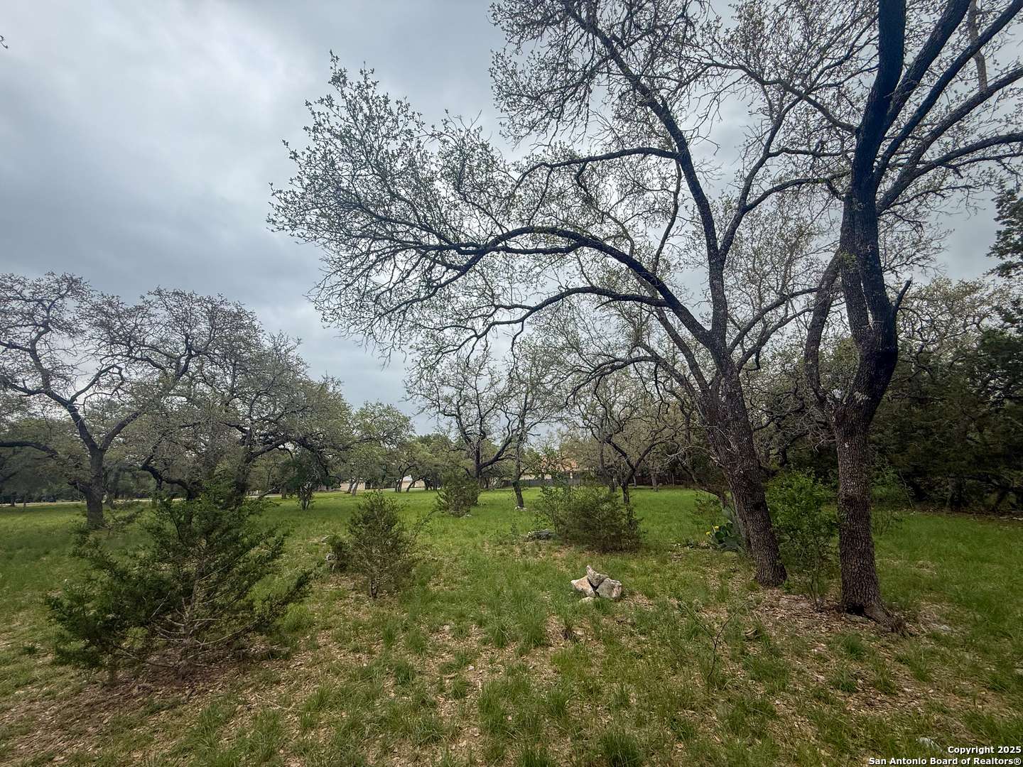 San Antonio, TX 78261,23407 Osceola Bluff