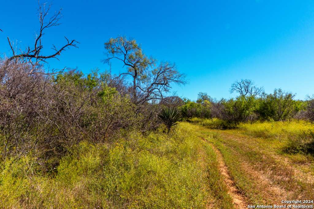Devine, TX 78016,CR 661 661