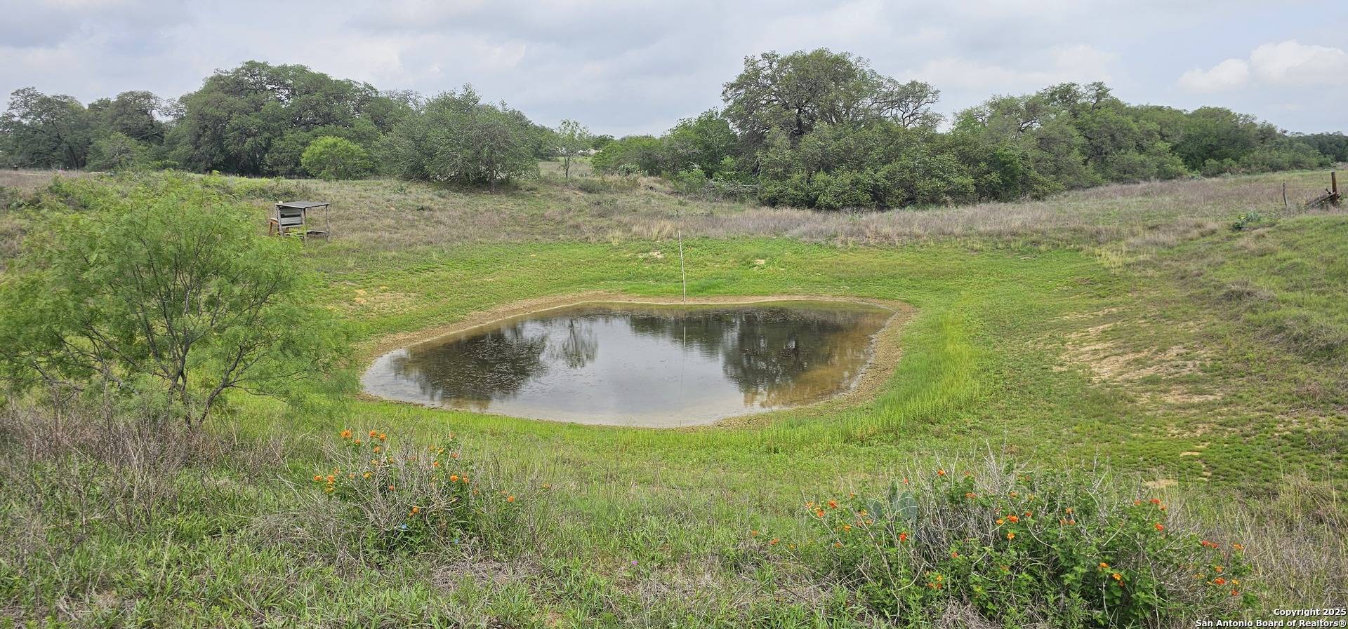 Poteet, TX 78065,0 Stacey