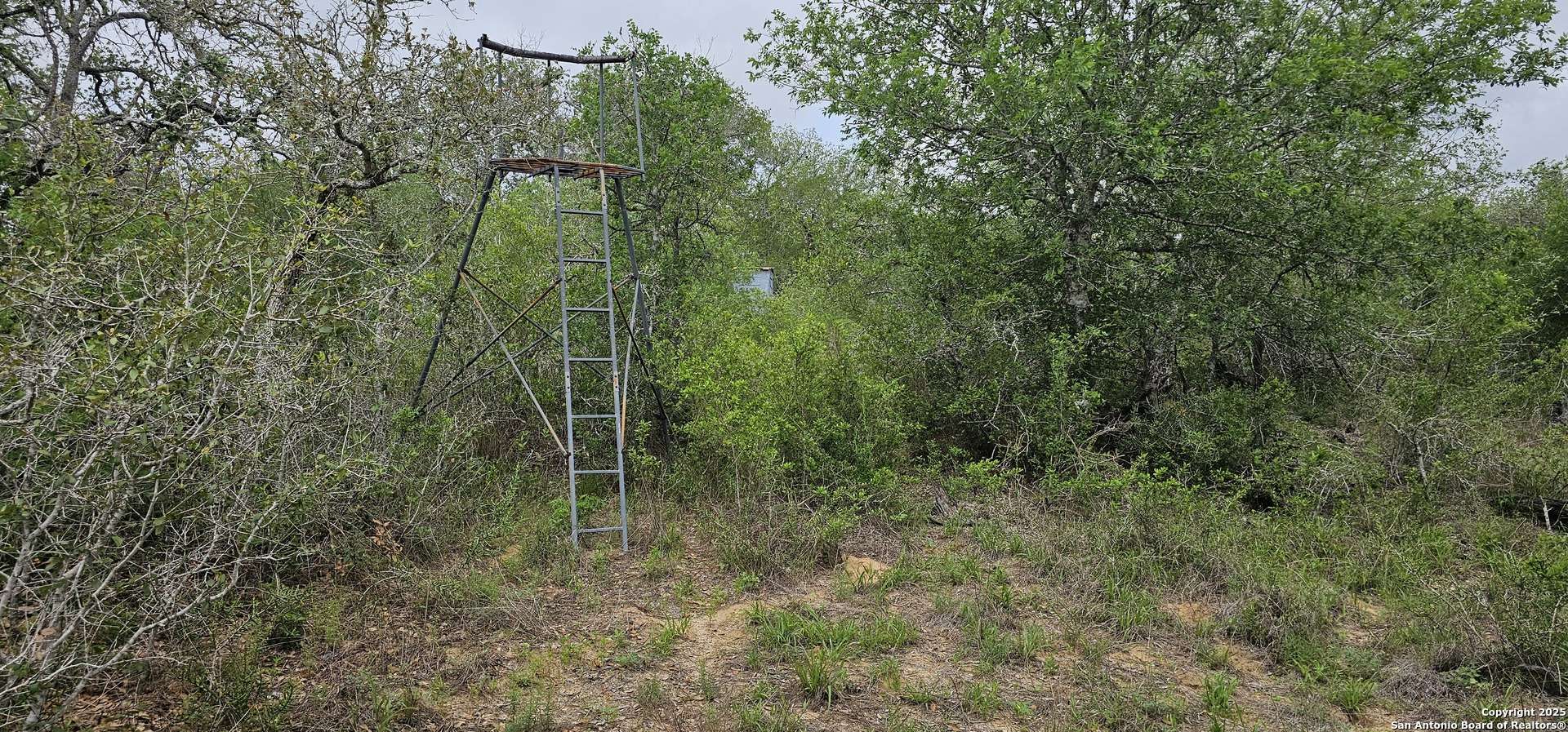 Poteet, TX 78065,0 Stacey