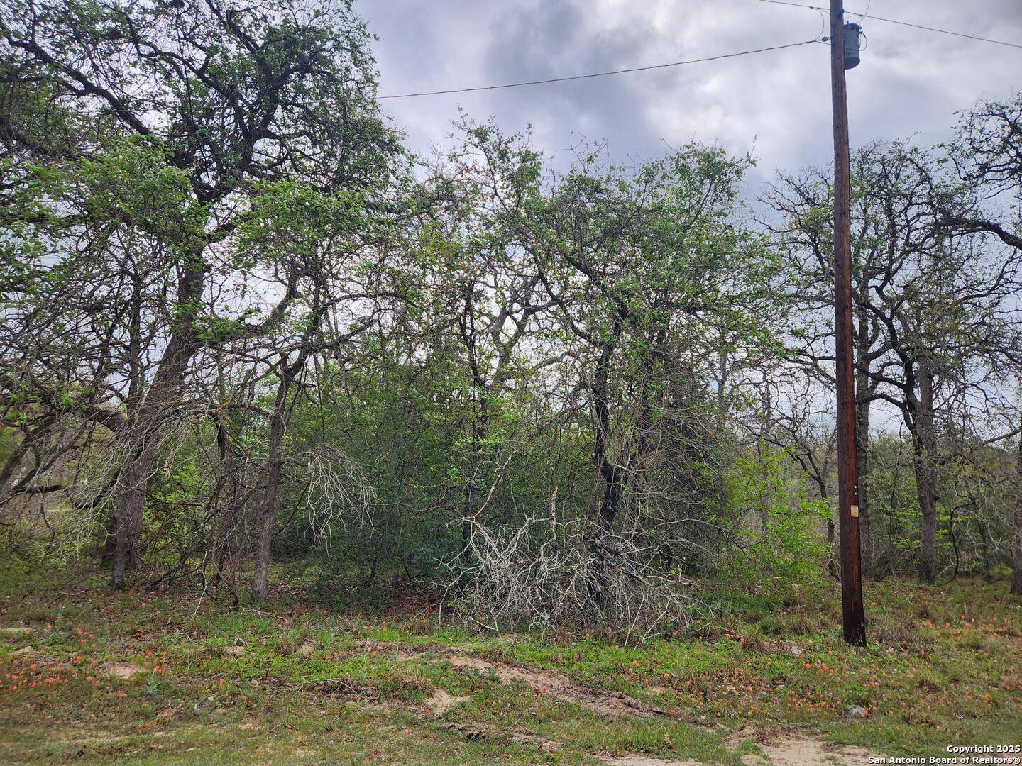 Seguin, TX 78155,1247 Vivroux Ranch
