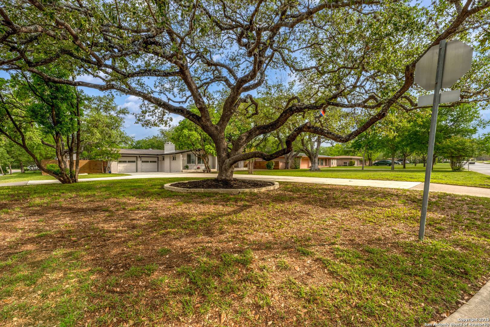 Castle Hills, TX 78213,111 Lemonwood