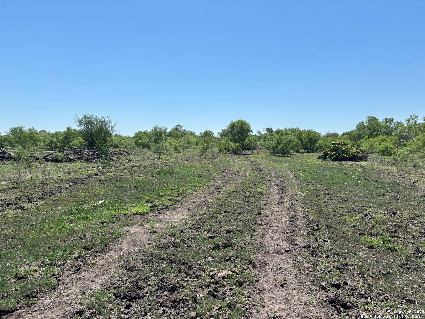 Natalia, TX 78059,TBD County Road 5718