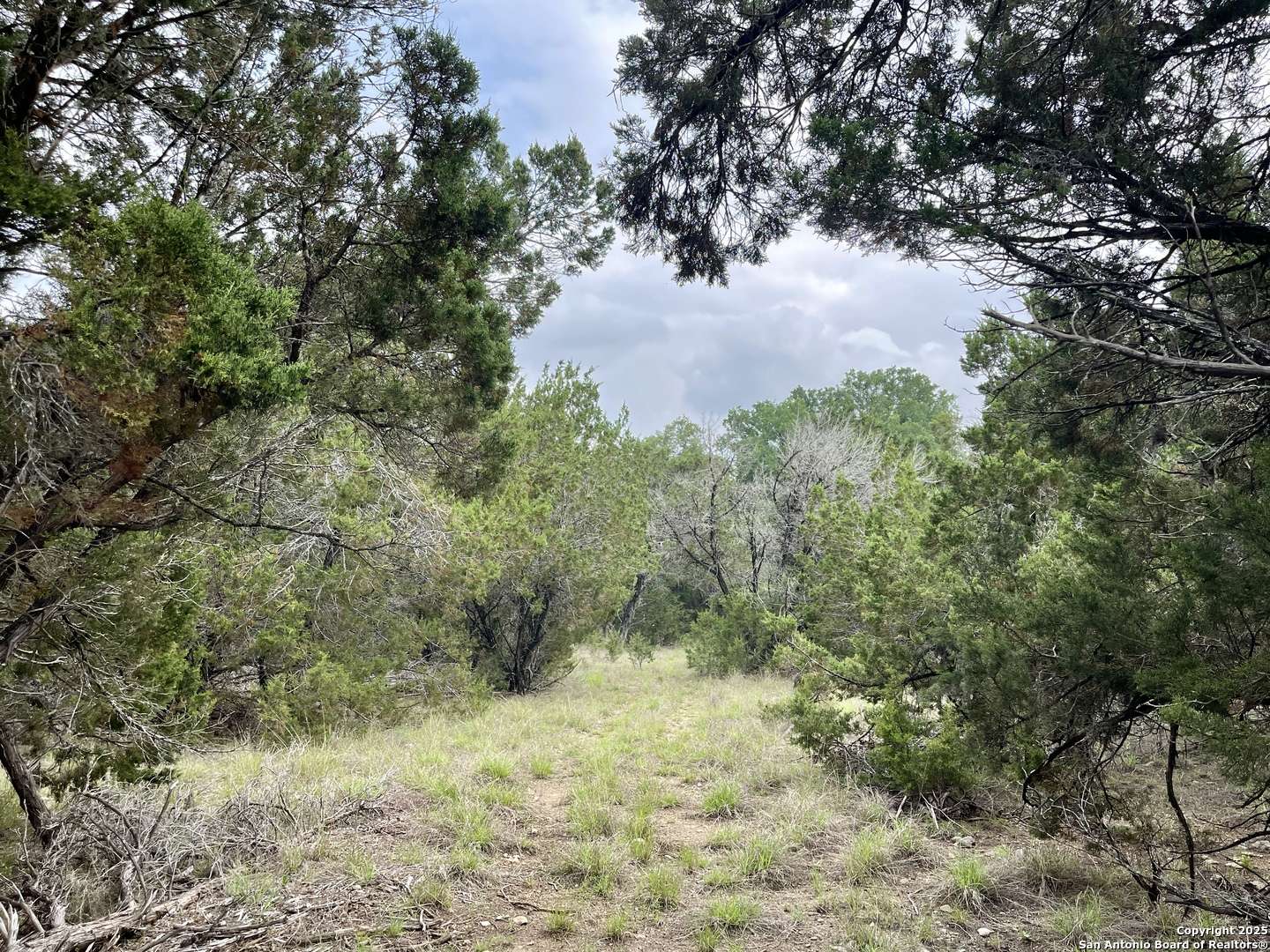 Bulverde, TX 78163,1515 Old Boerne