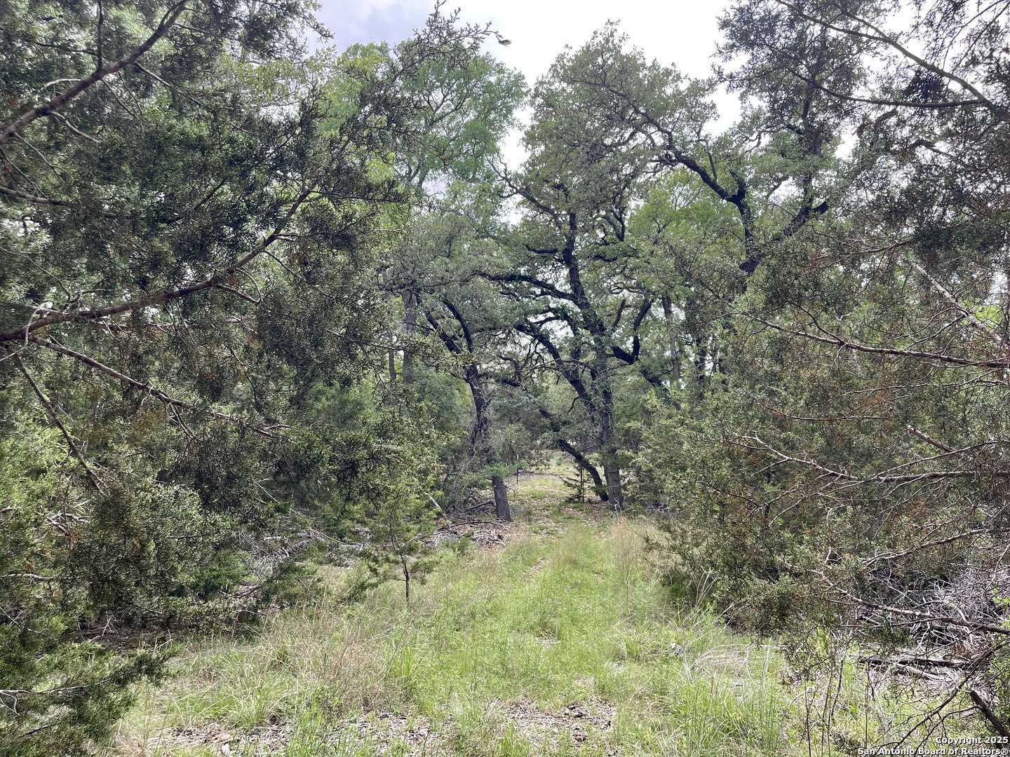 Bulverde, TX 78163,1515 Old Boerne