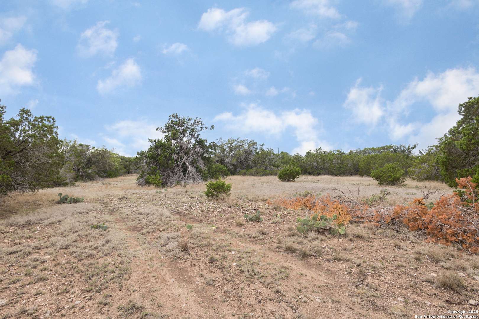 Junction, TX 76849,000 CR 411