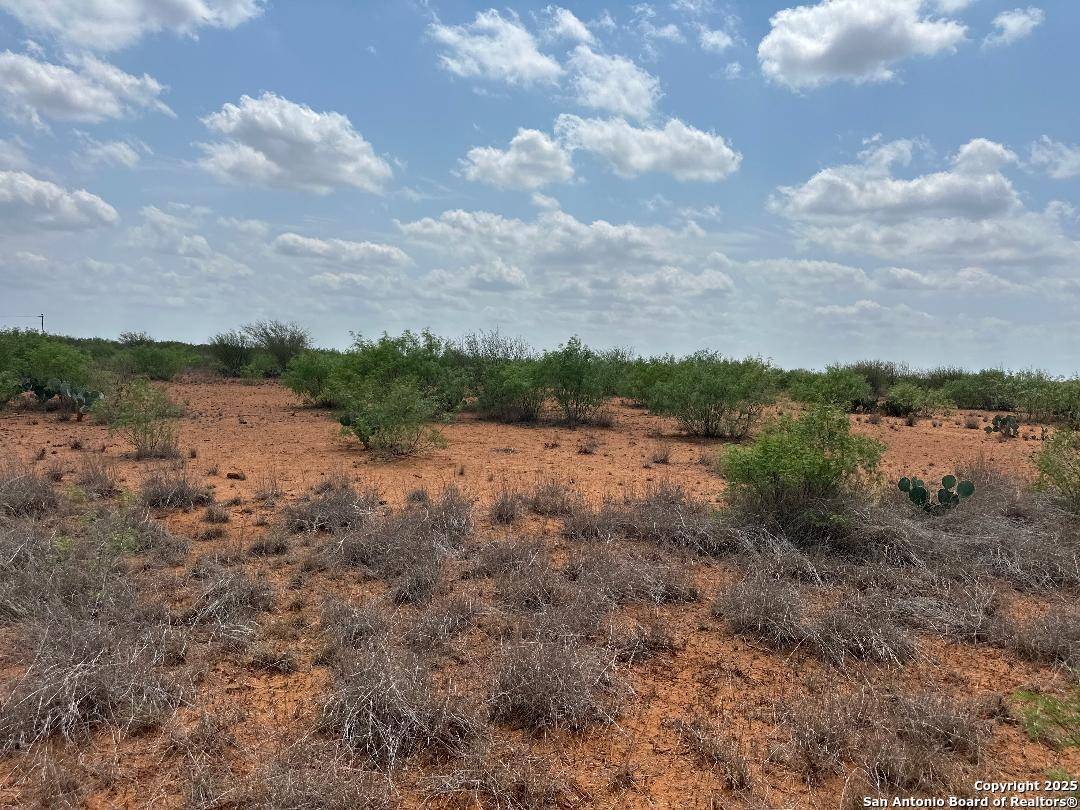 Dilley, TX 78017,TBD CR 3700