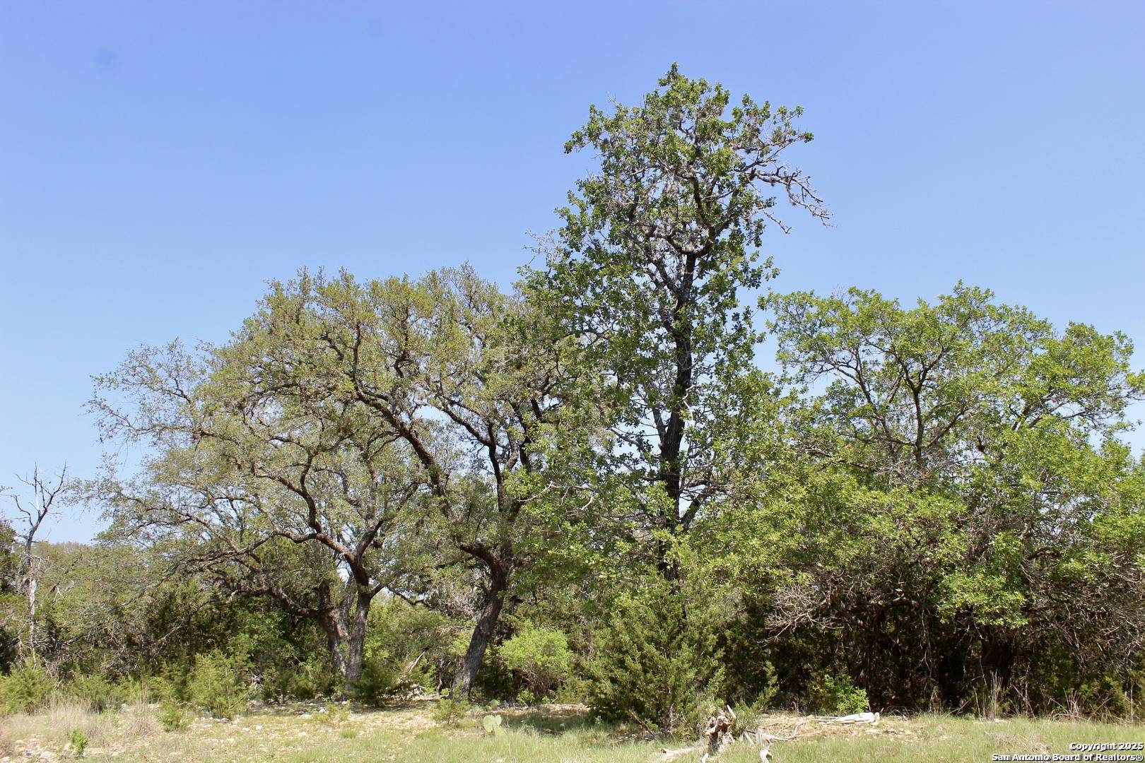 Bandera, TX 78003,LOT 55-56 PR 1523
