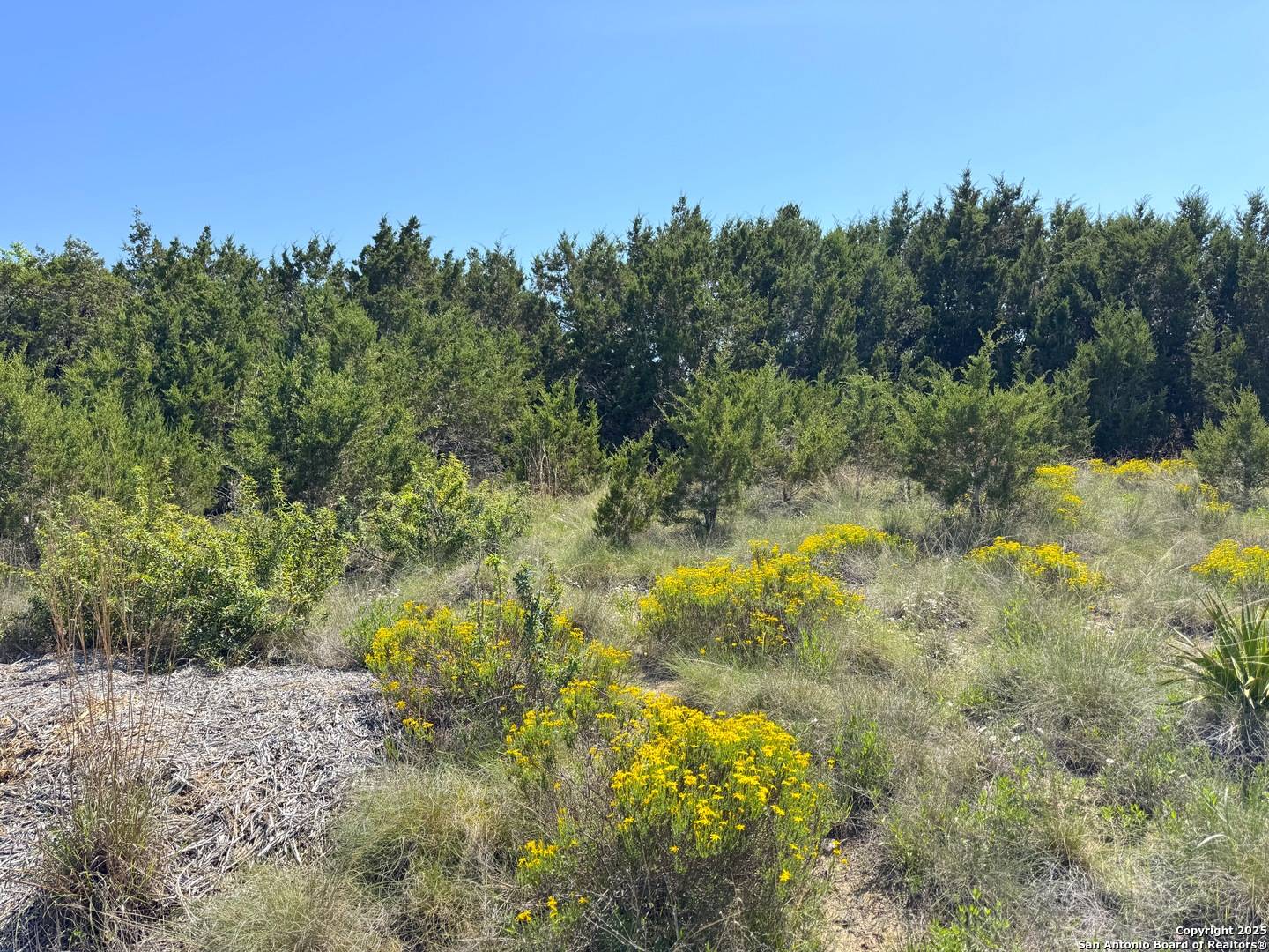 Canyon Lake, TX 78133,0 Tbd San Salvadore