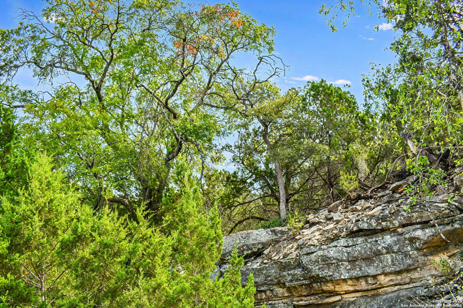 Harper, TX 78631,001 Tasiwoo Pvt Rd.