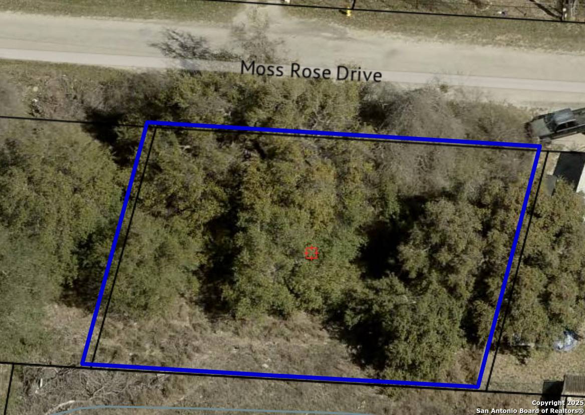 Von Ormy, TX 78073,TBD Moss Rose Dr