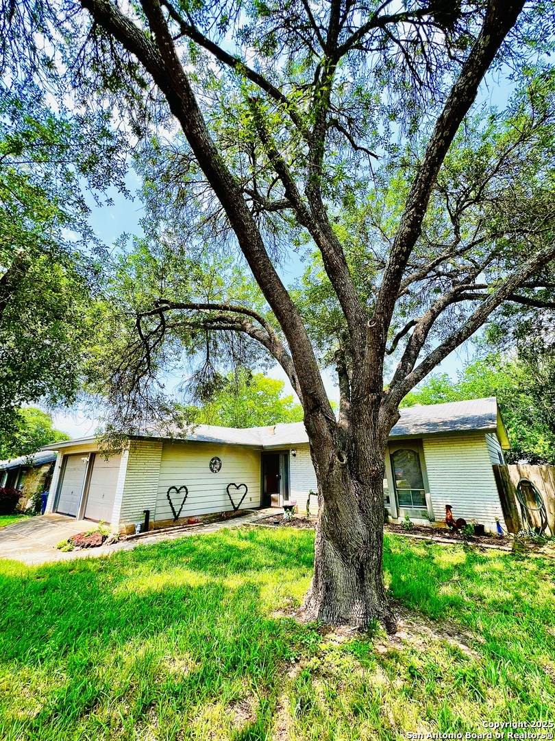 San Antonio, TX 78233,12731 Popes Creek