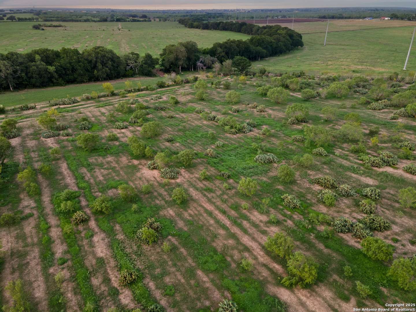 Devine, TX 78016,1236 County Road 7611