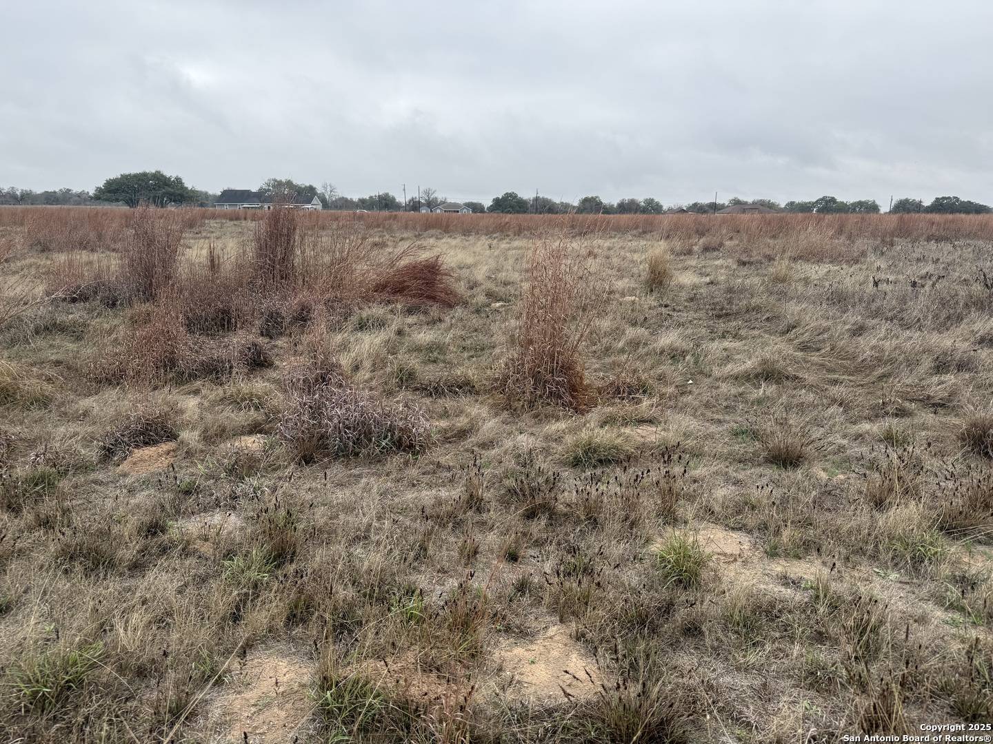Natalia, TX 78059,238 Colt Trl
