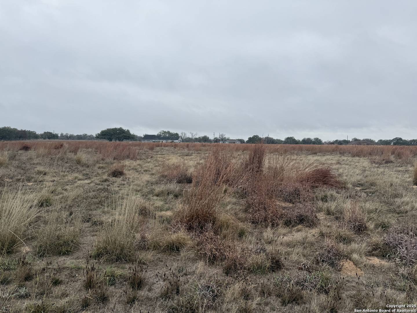 Natalia, TX 78059,238 Colt Trl