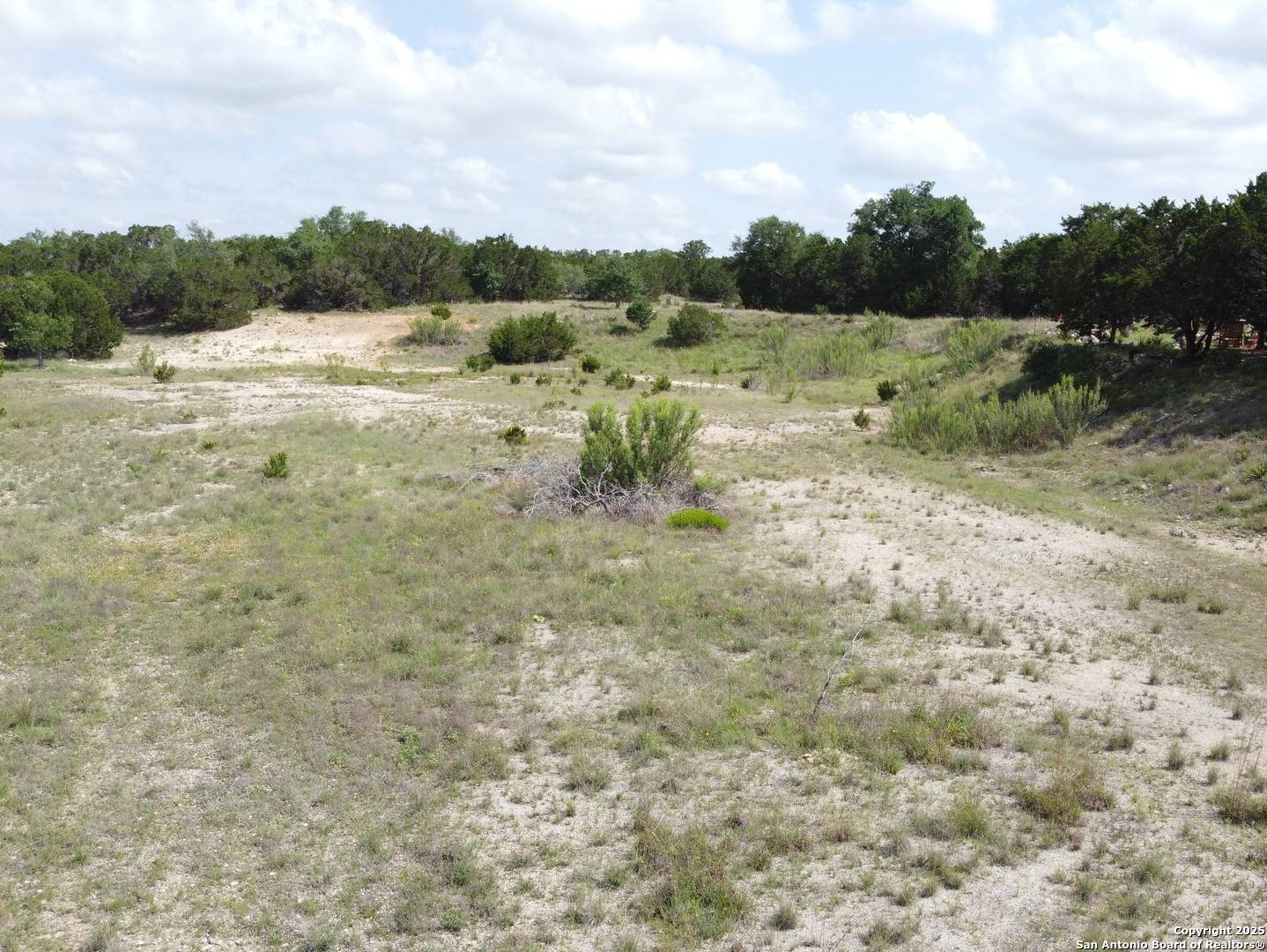 Spring Branch, TX 78070,233 ROSINWEED