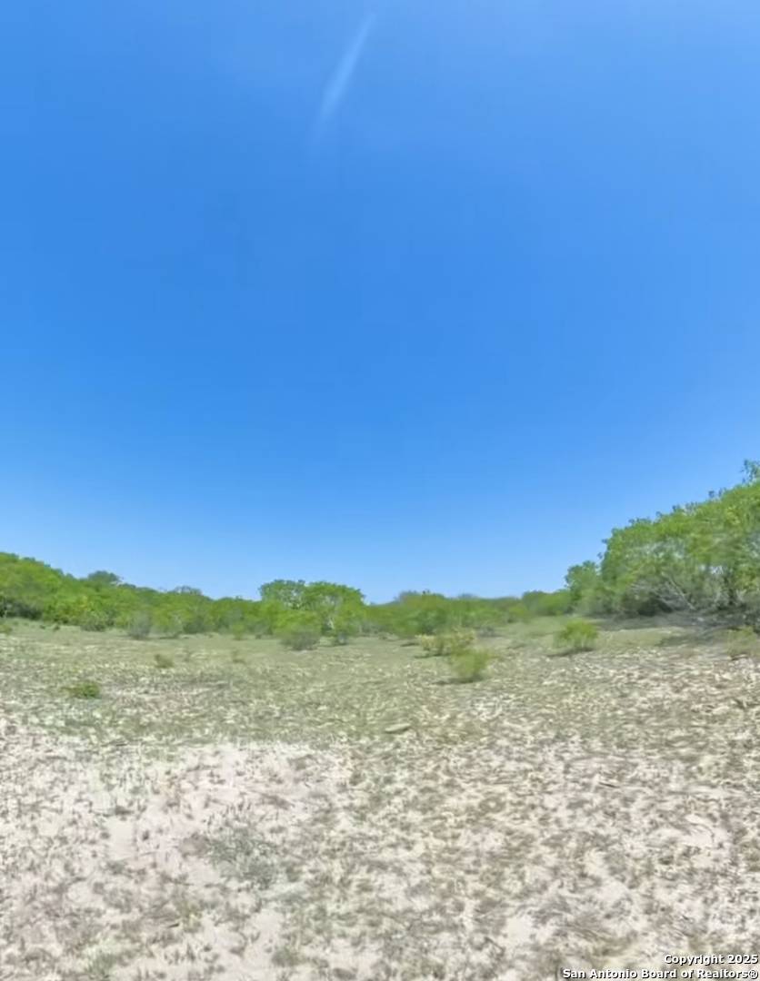 Falls City, TX 78113,LOT 5 0 CR 197