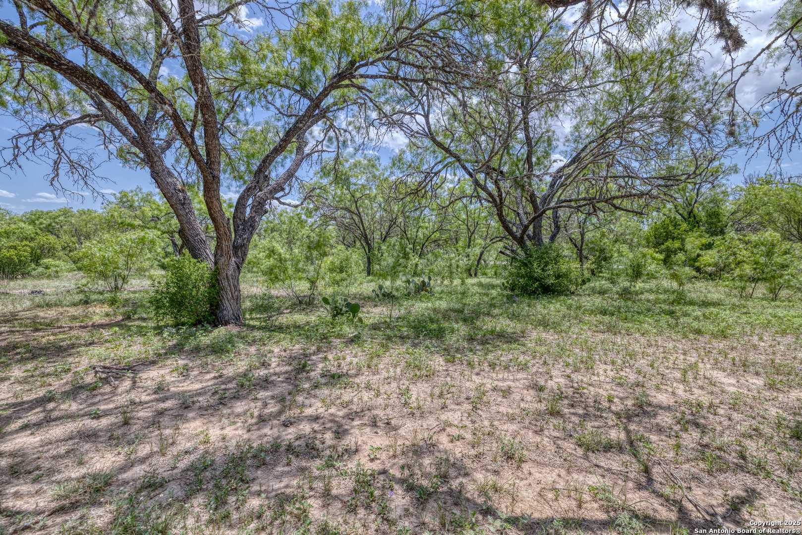 Rio Frio, TX 78879,405 Ridge Loop