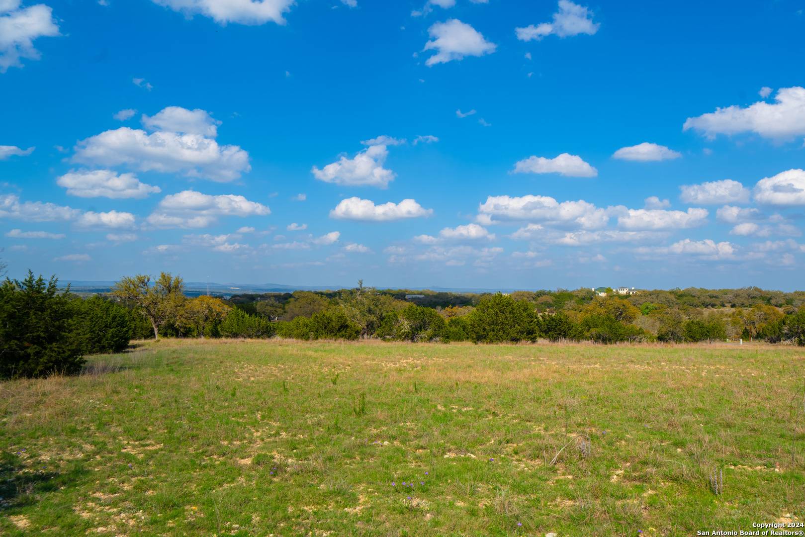 Boerne, TX 78006,518 CORDILLERA TRCE